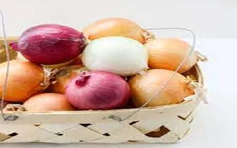 yellow onion in malay acquaintance from zero to one hundred bulk purchase prices